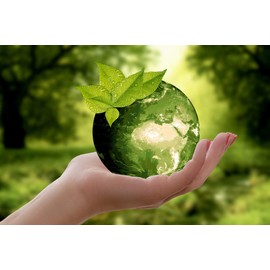 Organic Mugwort & Ginger Bath, 5 Pack of Organic Mugwort and Ginger Bath, Steamed Mugwort, Pregnant, Warm, Herbal Bath, Ginger Hot Water