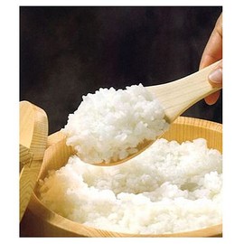 Rice Paddle, Japanese Japanese Cypress 29 cm 223296