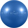 GoFit ProBall Stability Ball – Printed Exercise Ball for Yoga,
