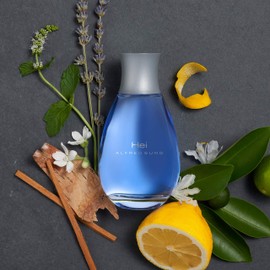 ALFRED SUNG Alfred Sung HEI Cologne For Men, Eau De Toilette Spray Vaporisation for Day or Night, 3.4 oz