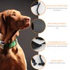 Soft Mesh Dog Muzzle for Small, Medium,Breathable, Adjustable, Drinkable Anti-Bite