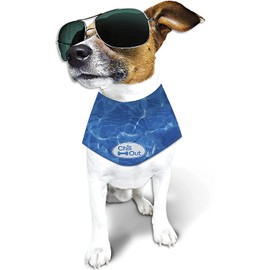 ALL FOR PAWS Cooling Neck Wraps for Dogs,Ice Dog Bandanas,Dog Cooling Dog Bandana,Chill Out Blue Dog Collar Dog Collar Cat Collar,Neck Cooler,Neck Cooling(XL)
