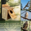 Owl Box for Outside - Spacious Bird House with Scratching