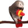 Hypeety Bird Intellective Toys Screw Training Toy for Parrot Parakeet