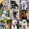 Dog Harness and Leash Set, Dog Harness for Dogs No