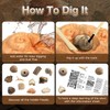 Byncceh Kid's Fossil Digging - Educational STEM Fossils Toys for