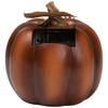 Northlight 7.5" Brown Solar Powered Floral Pumpkin Outdoor Decoration