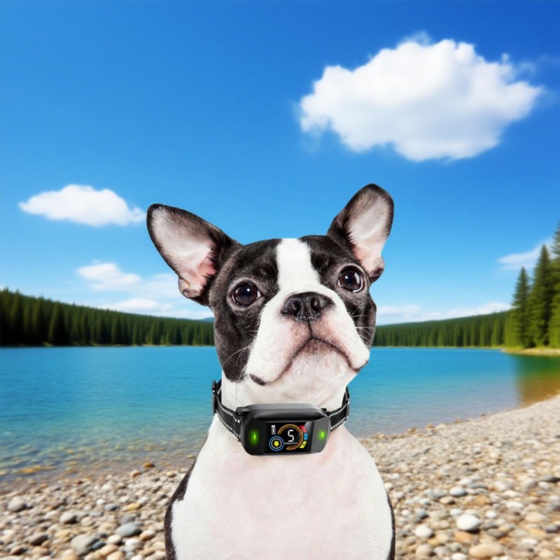 Dog Collar Replacement Strap,Replacement Collar for Training Shock Collar Reflective