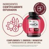 LIFE 360 Maca Blend (Maca Negra, Amarilla y Roja) 240