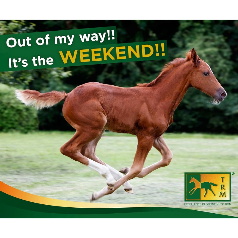 TRM StaySound Leg Clay Nutritional Supplements Remedies for Horses, 5kg