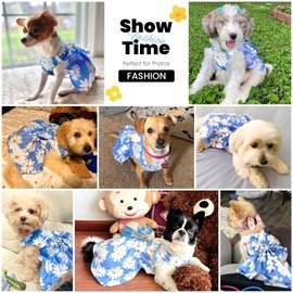 ABRRLO Cute Dog Dress Small Dog Clothes for Girls Female Puppy Outfits Blue Daisy Pet Summer Clothes Bowknot Doggy Cat Princess Dress Harness Set for Holiday Birthday Party Costume Clothing (Blue,S)