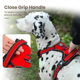 FURRYFECTION Dog Harness | No Pull Dog Harness | Reflective Oxford | Padded Handle | 4 Adjustable Straps | 2 Leash Clips | No Choke Pet Vest Harness for Small Medium Large Dogs | Red | L