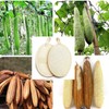 LSYJING 2 Natural bath loofah sponges, made from environmentally friendly