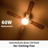 E17 Intermediate Base LED Light Bulbs, 6W(60 Watt Equivalent), Warm