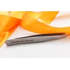 STALEKS PRO Expert 10/1 Precision Stainless Steel Tweezers for Thick