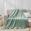 EHEYCIGA Fleece Blanket Throws for Sofas Fluffy Warm Soft Blanket