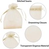 100 Pack 4x6 Inch Mini Sheer Drawstring Organza Transparent Bags