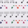 1 Set Electronic Keyboard Stickers Music Label Notes 88/61/54/49 Key