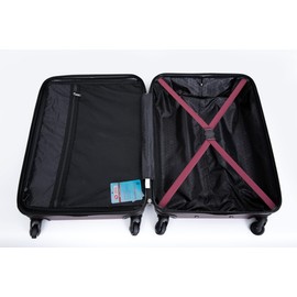 TREATLIFE HOME 3-Piece Luggage Set for Stress-Free Travel, Lightweight & Secure Hard Shell with Spinner Wheels, Wine Red