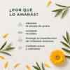 IÁRBORA - Arbora Parches Hidrocoloides para granos y espinillas tea