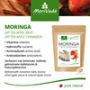 Moriveda (20 Bags MORINGA OLEIFERA Dip Tea 100% Natural, Vegan,