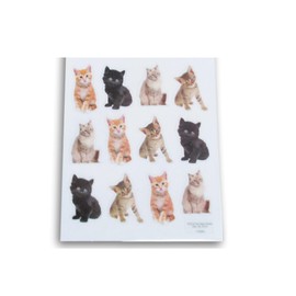 Kitten Stickers - Realistic Photographic Cats Adhesive Decals for Crafts, Cardmaking, Scrapbooks– 24 Pc
