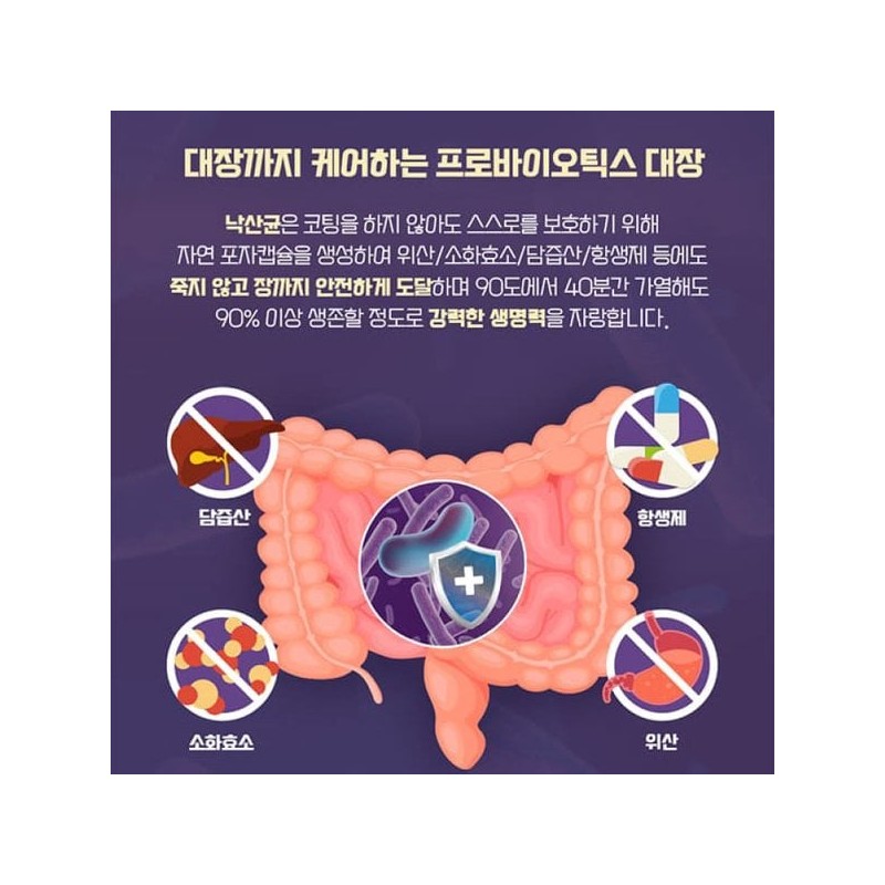 낙산균 일동생활건강 100억 생 유산균 포스트바이오틱스 람노서스 GG 30포 Ildong