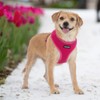 Best Pet Supplies Voyager Aerolite Adjustable No Pull Dog Harness