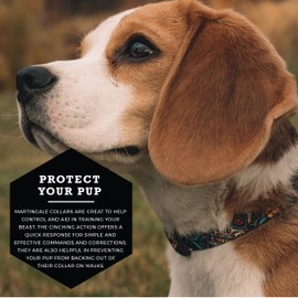 Wolfgang Premium Martingale Dog Collar for Small Dogs, Durable Nylon Dog Collar with Quick Clip Buckles, for Training & Daily Use, Made in USA, LosMuertos Print, (5/8 Inch x 10-12 Inch)