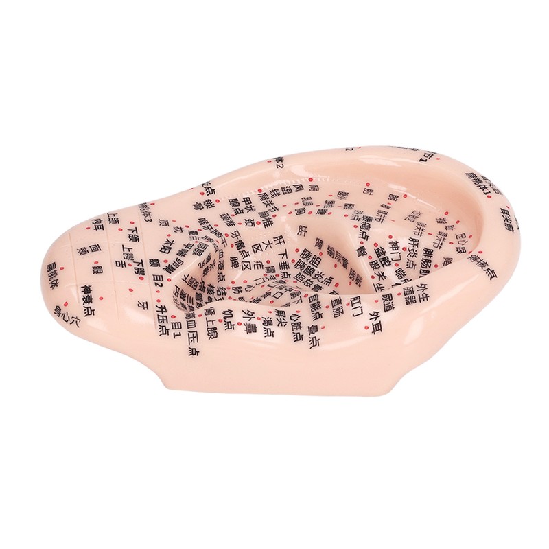 17cm Ear Point Probe 600pcs Auricular Patches Silicone Ear Model