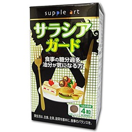 サプリアート サラシアガード 食事の糖分過多油分が気になる方 80粒