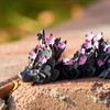 3D Printed Cherry Blossom Dragon Large Fidget，16.73 Inch 3D Big