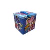 The Tin Box Company XL Storage Tin with Handle, Sonic