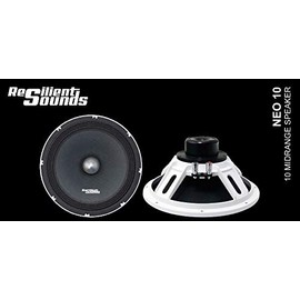 Resilient Sounds Powerful/Clear Neo 10" midrange 250RMS/500Watt