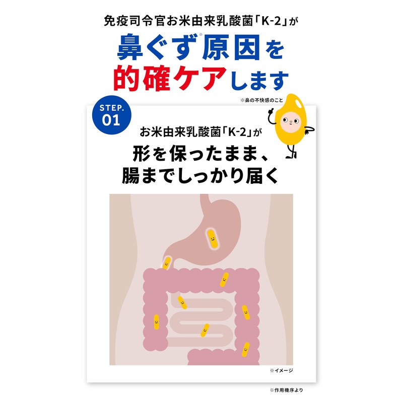 Yumimil Hanasuru Refreshing Source, Hay Fever Supplement (60 Capsules /