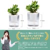 SENUN Slit Pot, Pot Cover, No. 3, Planter, Automatic Watering