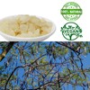 DOL Dried Snow Swallow Natural Malaysia, 100% Natural Snow Lotus