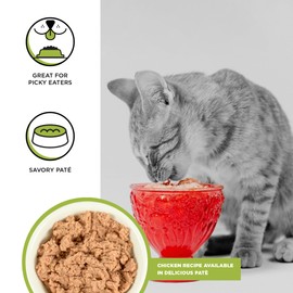 BIXBI Rawbble Chicken Pate Recipe for Kittens Cans – Grain Free, Protein Rich Wet Kitten Food – (5 Ounce Cans, Case of 24)