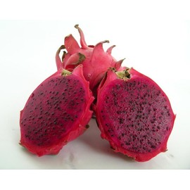 American Beauty Dragon fruit plant fruit vine cactus