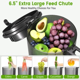 Cold Press Juicer, 6.5" Wide Feed Chute Juice Extractor Machine with Handle, High Juice Yield, 350W Professional Slow Masticating Juicer for Whole Vegetables & Fruits, Easy to Clean for Batch Juicing