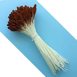 Long Lily Flower Stamens (Brown)