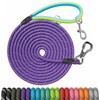 Long Dog Leash for Dog Training 10FT/15FT/20FT/30FT/40FT/50FT/100FT Reflective Leash with
