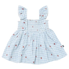 Modern Moments by Gerber Baby Girl's 2-Piece Ruffle Sleeve Dress W/Smocking & Diaper Cover Set, Ivory Strawberry Gingham