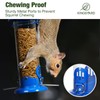 Kingsyard Upgraded Bluebird Feeder for Outdoors Hanging, Metal Mealworm Tube