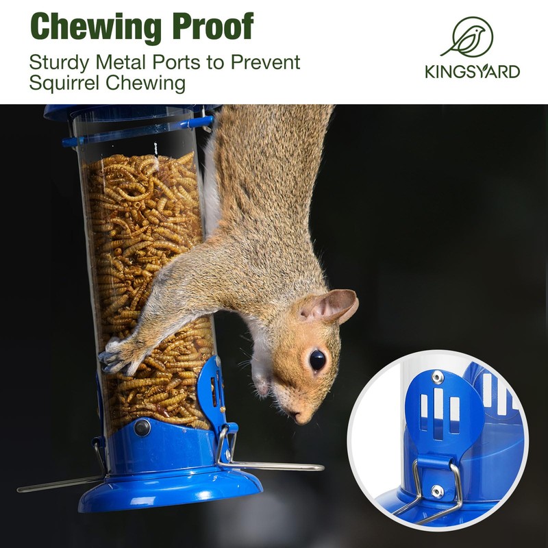 Kingsyard Upgraded Bluebird Feeder for Outdoors Hanging, Metal Mealworm Tube
