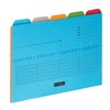 Elba A4 Tabbed Ultimate Folders - Assorted Colour 240gsm Manilla