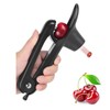 Cherry Pitter, Easy Kitchen Tool Cherry Pitter And Olive Pitter-