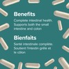 Webber Naturals Probiotic 10 Billion Active Cells, 5 Probiotic Strains,