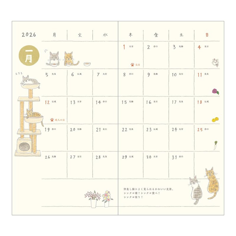 Midori Pocket Diary 2026 Slim Monthly Cat Pattern 22362006 (Starts