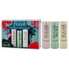 Tint, Mint and Treat Lip Kit by Fresh for Women
